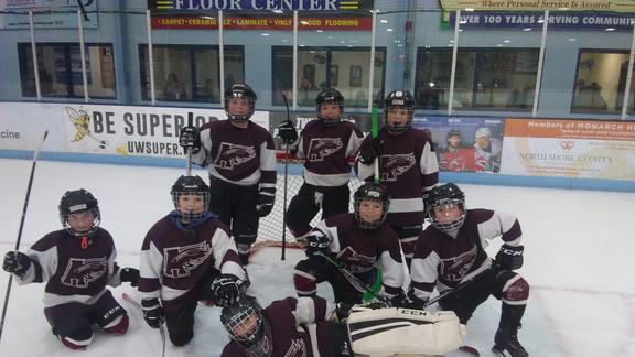Young hockey players posing on ice