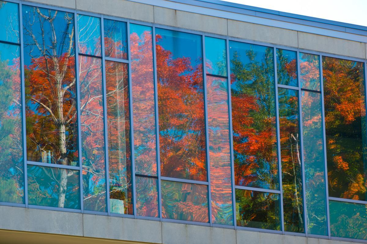 LSBE exterior windows with fall leaves reflection